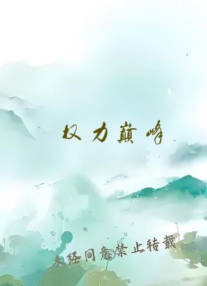 权力巅峰 小说